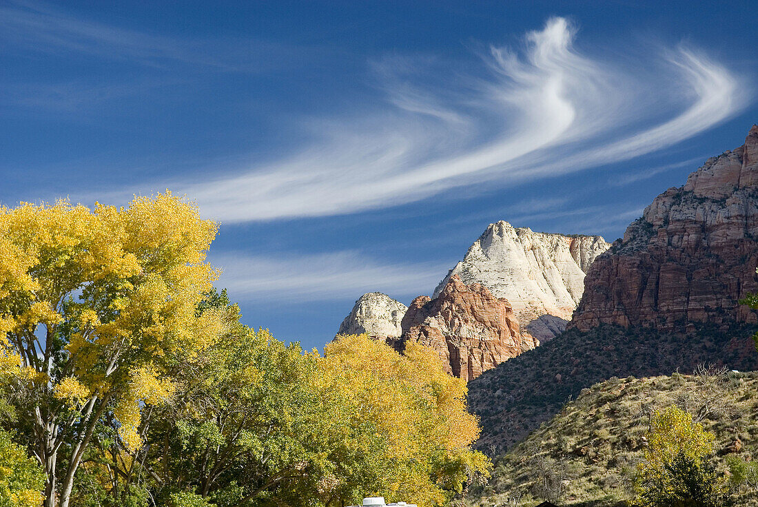 Autumn in Zion National Park. Utah, USA