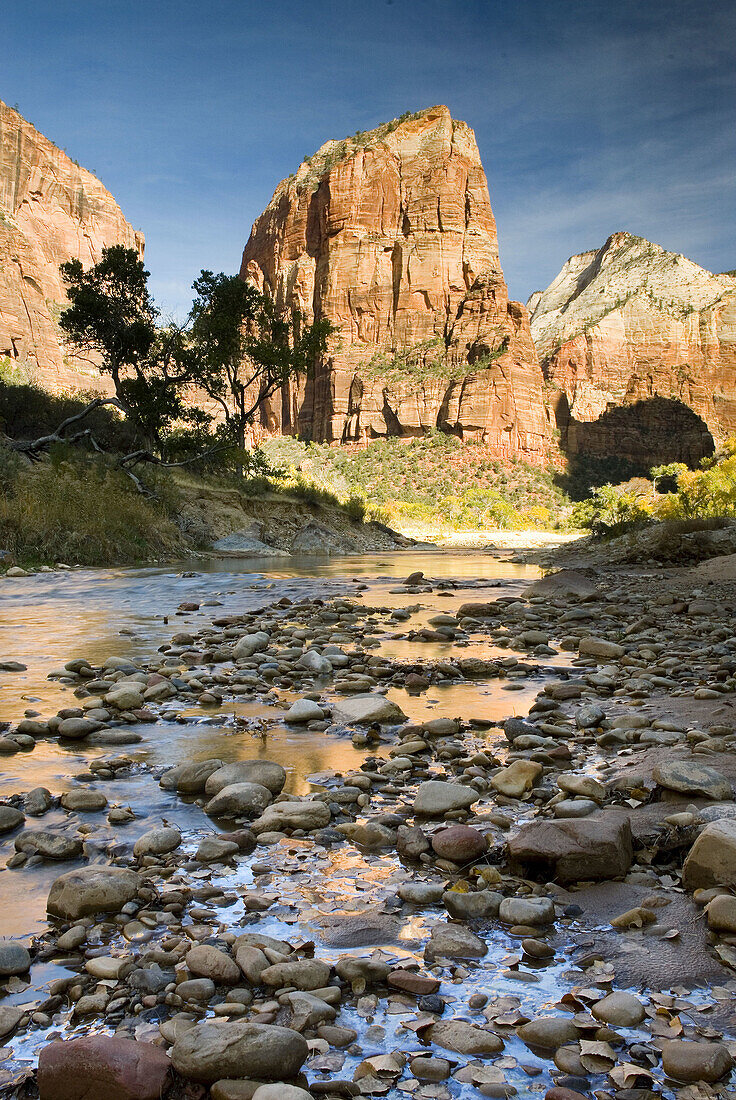 Angels Landing reflected in the waters of the Virgin River, Zion National Park. Utah, USA