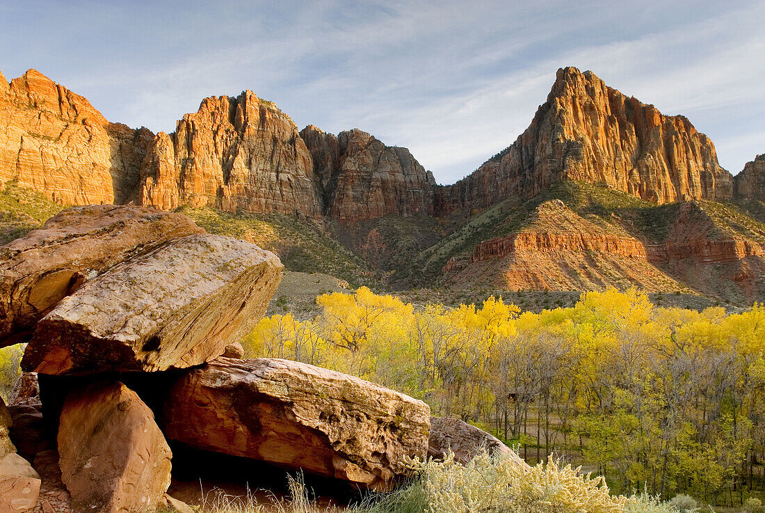 The Watchman in evening light, Zion National Park. Utah, USA