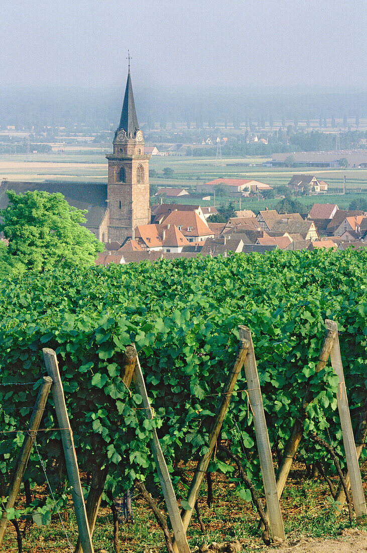 Alsace. France.