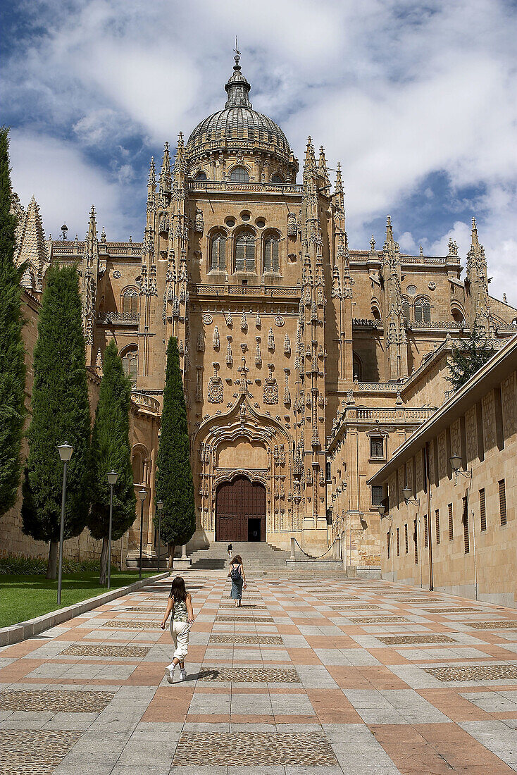 Catedral Nueva (new cathedral). Salamanca. Spain