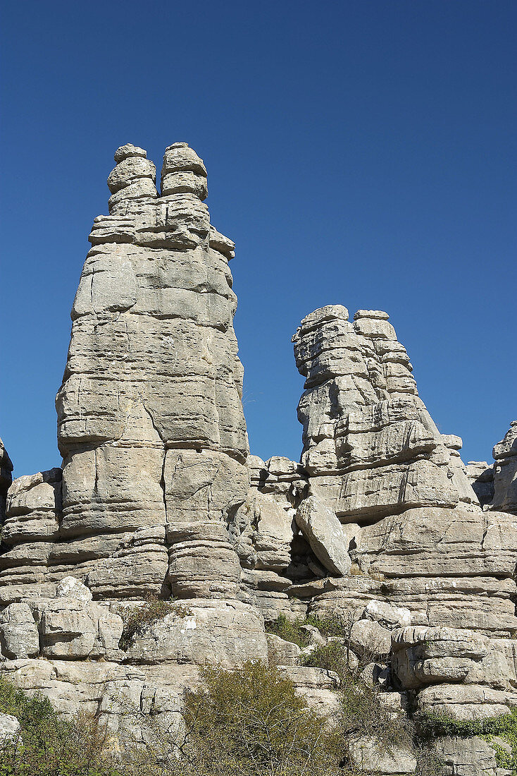 Erosion working on Jurassic limestones. This is the biggest Karstic landscape in Europe. The origin is the sea floor dating from 150 million years ago. Natural park of Torcal de Antequera. Antequera. Málaga province. Andalucia. Spain