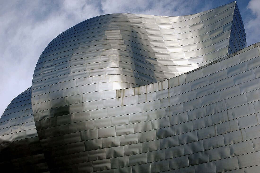 Guggenheim Museum. Bilbao. Bizkaia. Euskadi. Spain.