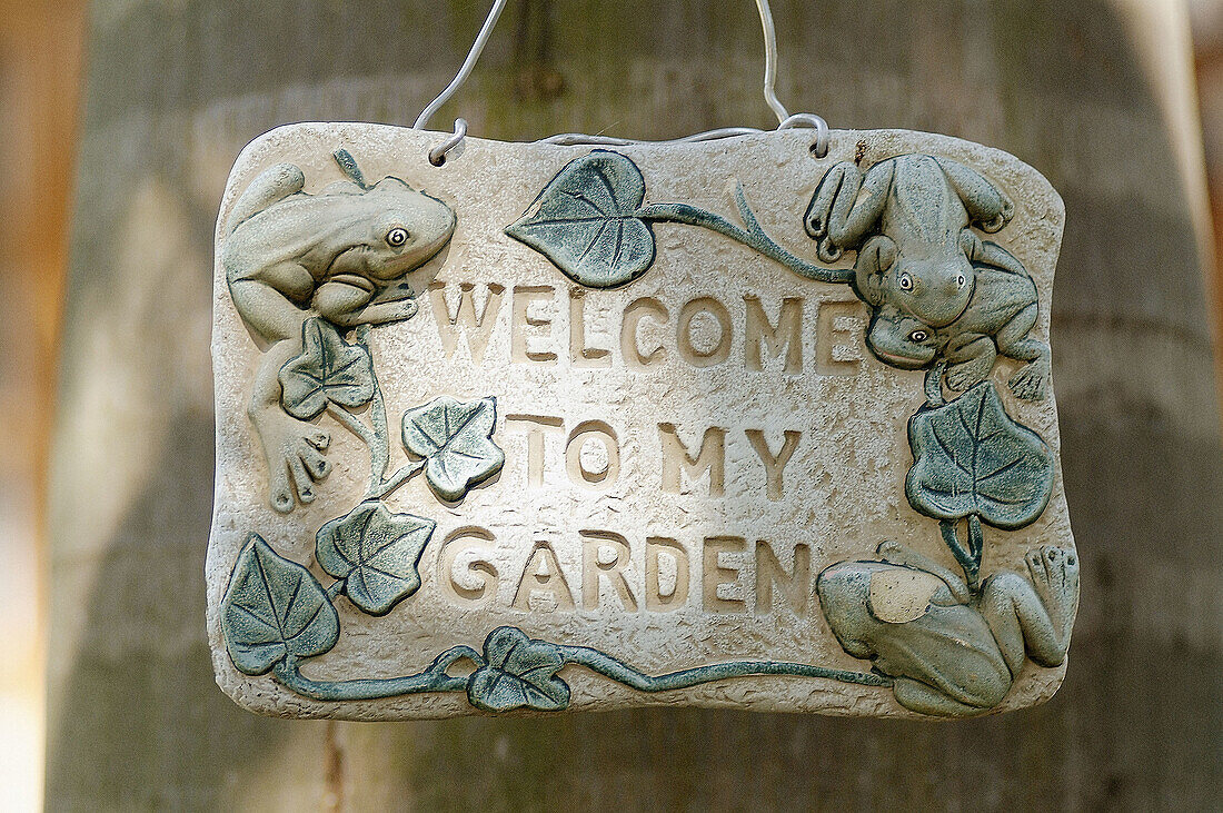 Garden board. India.