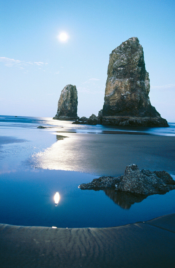 Moon over needles, Cannon Beach. Oregon. USA.