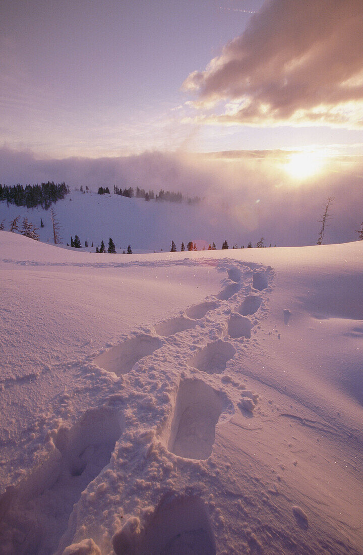 Snowshoe foot prints at sunrise. Oregon Cascades, USA