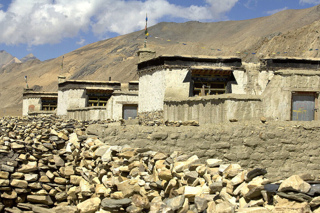 block of modern tibetan houses. Lhasa prefecture. Tibet. China