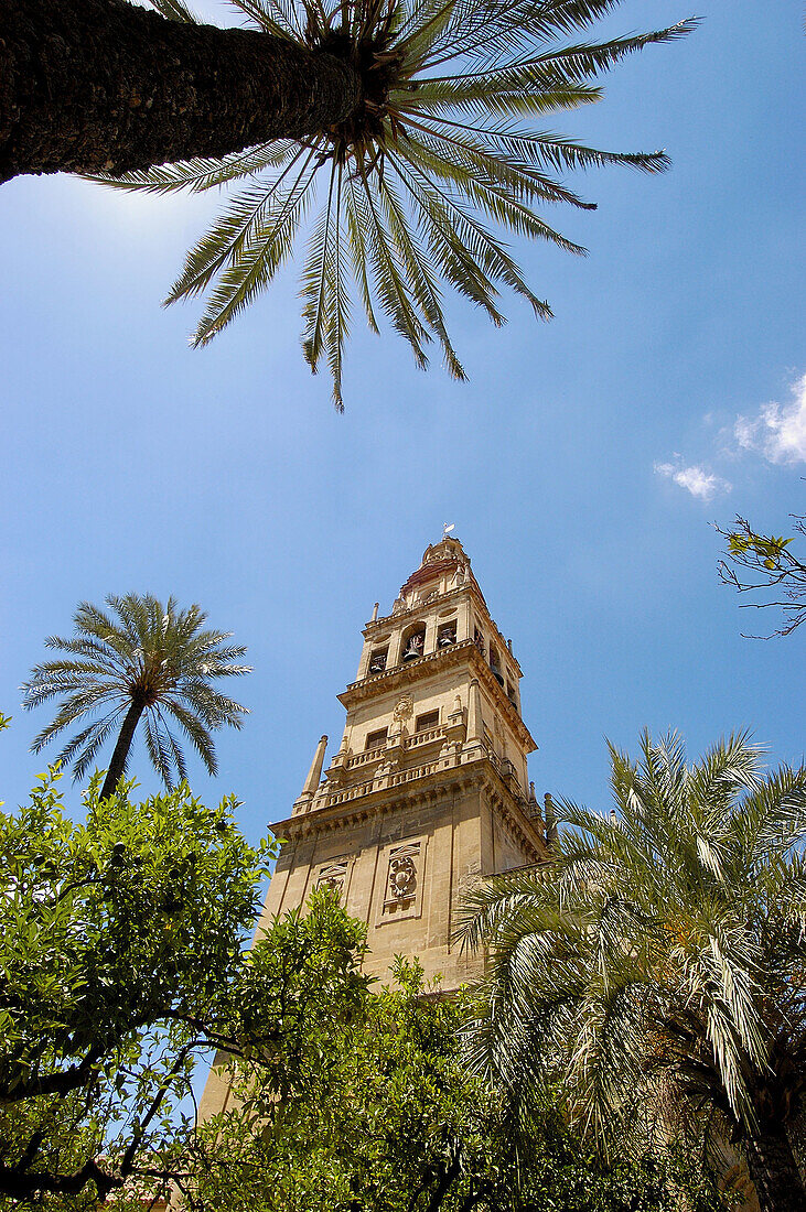 Patio de los Naranjos, courtyard and minaret tower of the Great Mosque. Córdoba. Andalusia, Spain