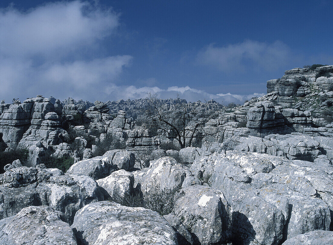 Erosion working on Jurassic limestones, Torcal de Antequera. Málaga province, Andalusia, Spain