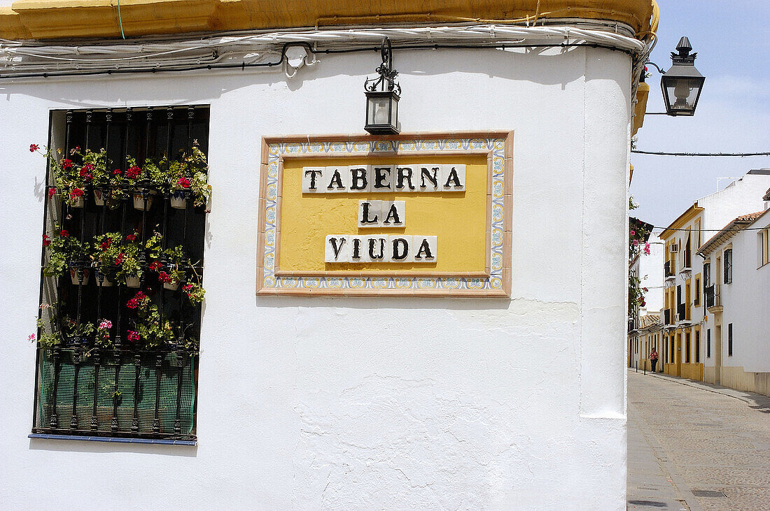 Façade detail. San Basilio neighbourhood. Cordoba. Andalucia. Spain.