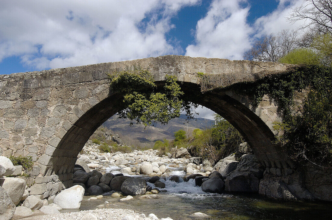 Roman bridge, Jarandilla de la Vera. Cáceres province, Extremadura. Spain