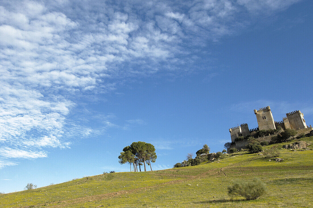 Castle of Almodóvar del Río. Córdoba province, Andalusia. Spain