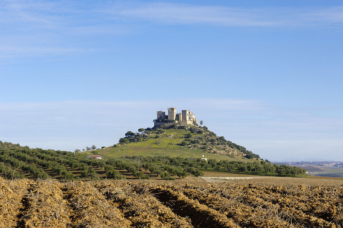 Castle, Almodovar del Rio, Cordoba province, Spain
