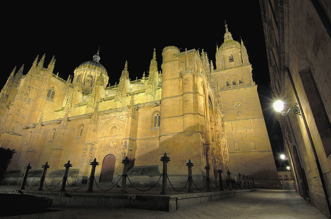 New cathedral. view at nigth, Salamanca province. Castilla y Leon, Spain