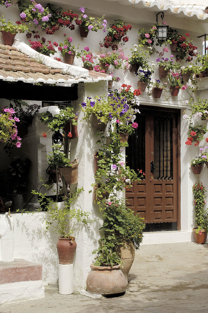 Typical courtyard in the Jewish district, Córdoba. Andalusia, Spain