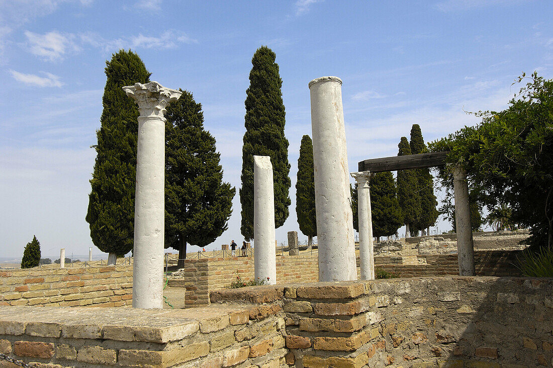 Roman ruins of Italica. Santiponce. Sevilla province, Andalusia, Spain