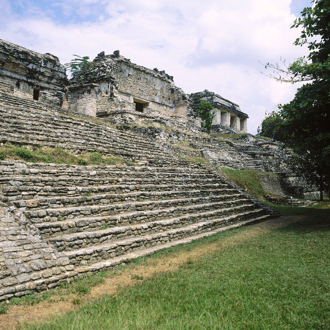 Mayan ruins. Palenque. Chiapas. Mexico