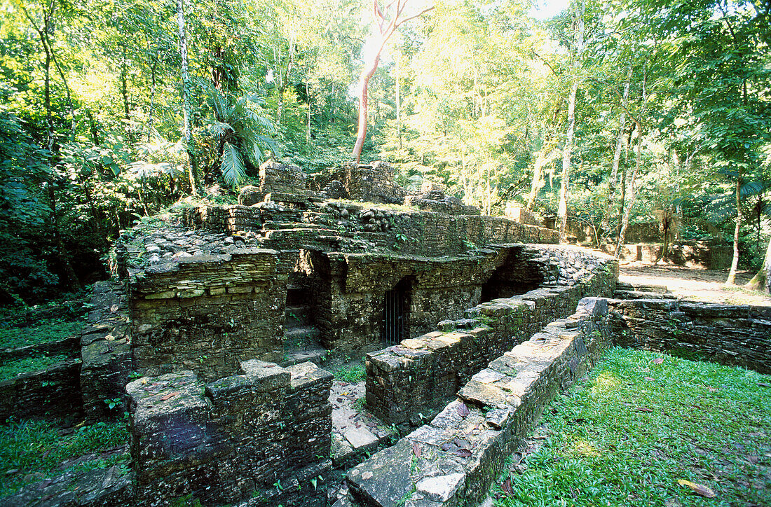 Mayan ruins in Palenque. Goups I and II. Chiapas. Mexico
