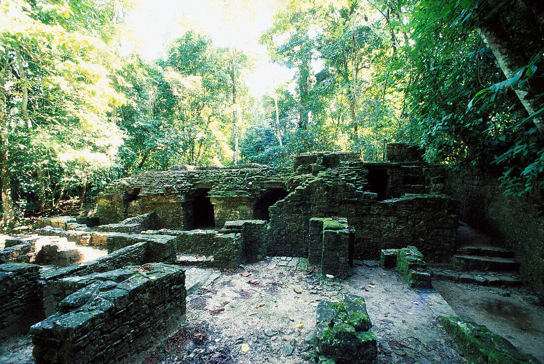 Mayan ruins. Chiapas. Mexico