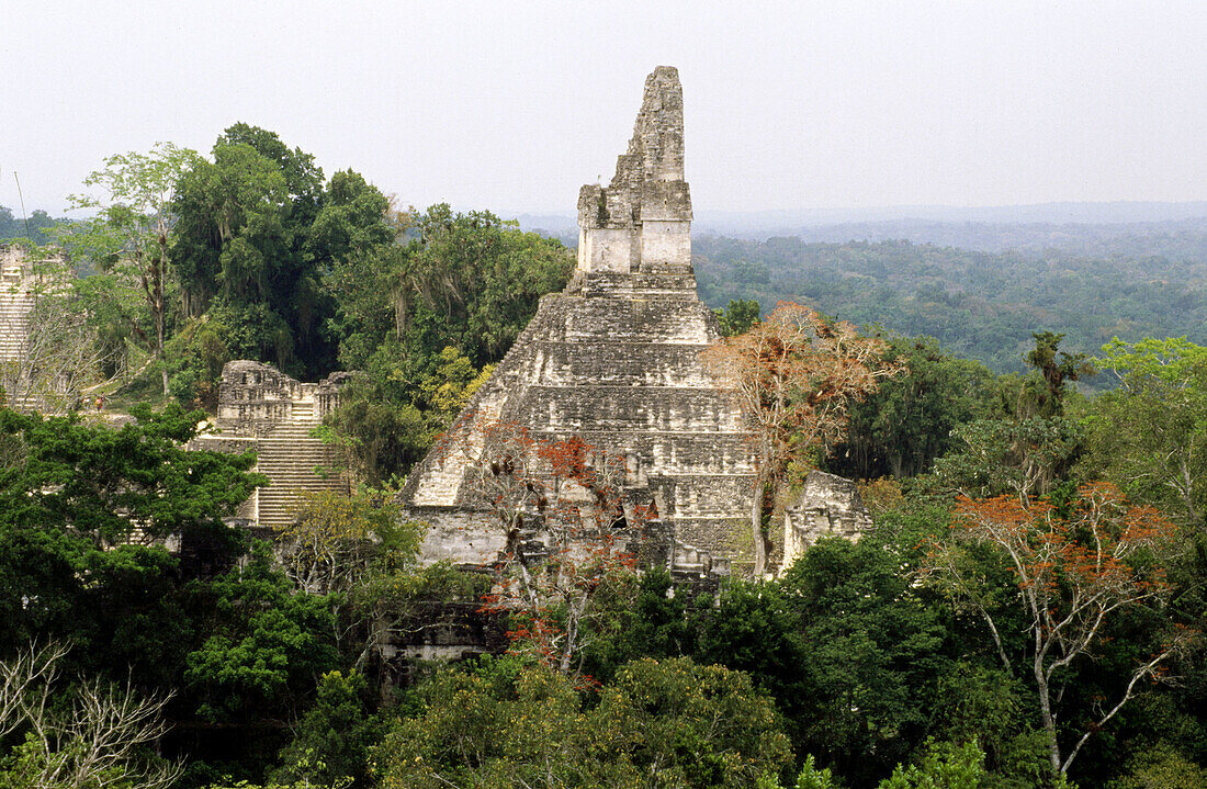 Mayan ruins of Tikal. Guatemala