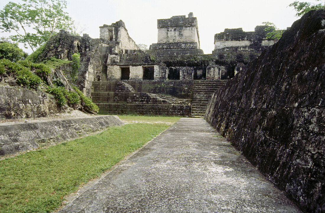 Mayan ruins of Tikal. Guatemala