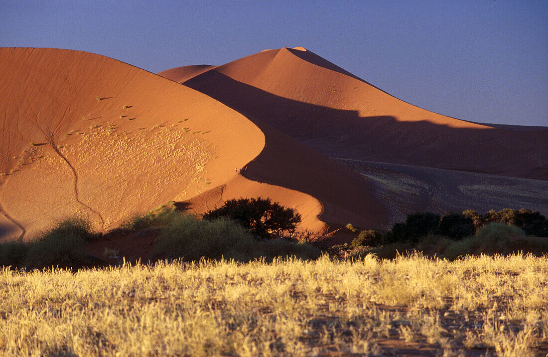 Namib National Park. Sesriem. Namibia.