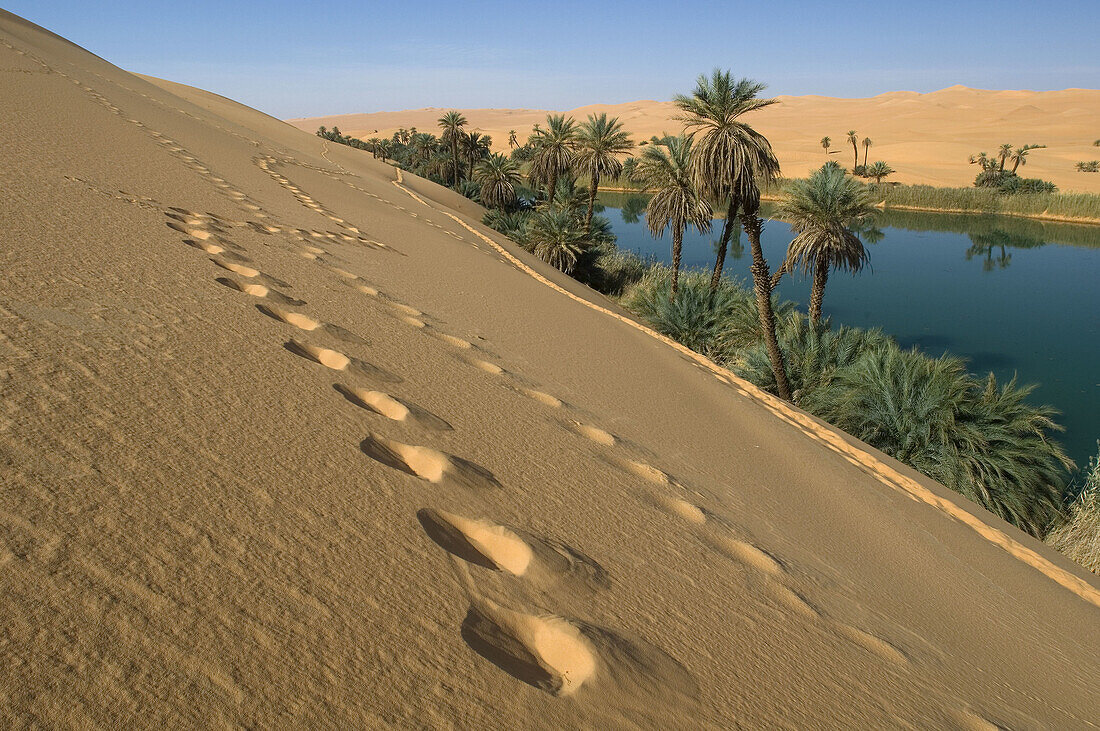 Oasis, Libya.