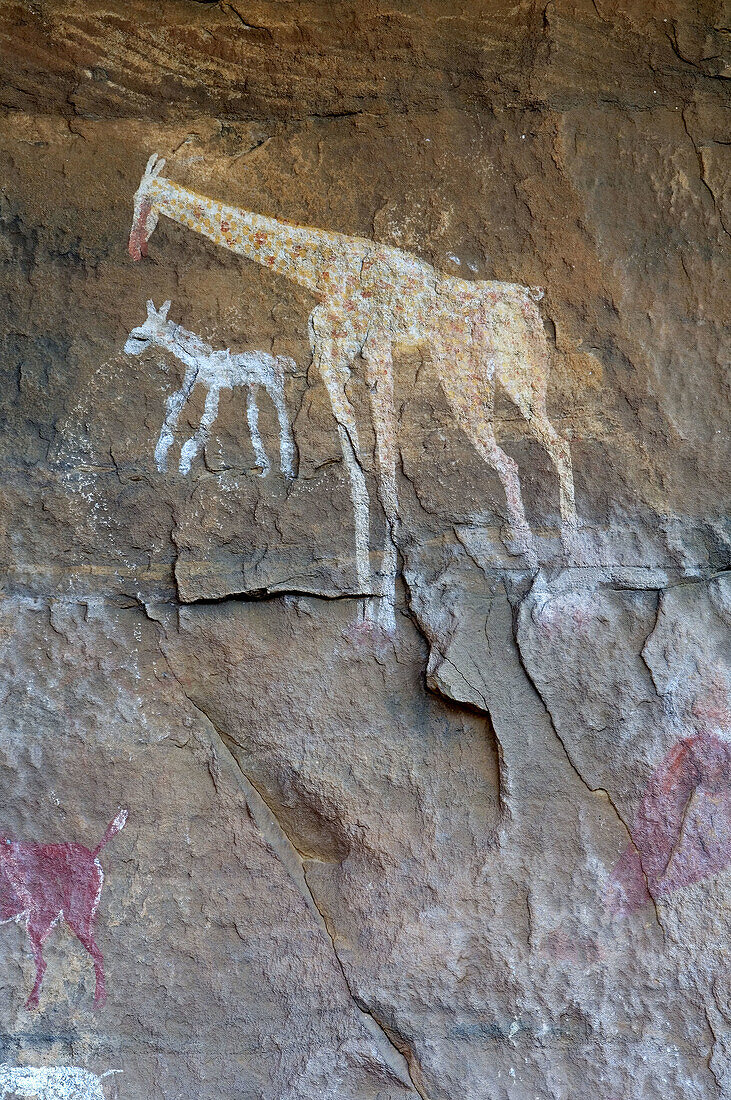 Paintings and engravings. Libya.