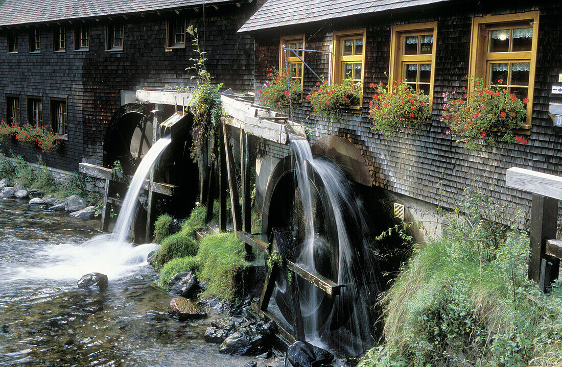 Hexenlochmuehle Hexenloch Mill, Black Forest, Baden-Wuerttemberg Germany Weptember 2005