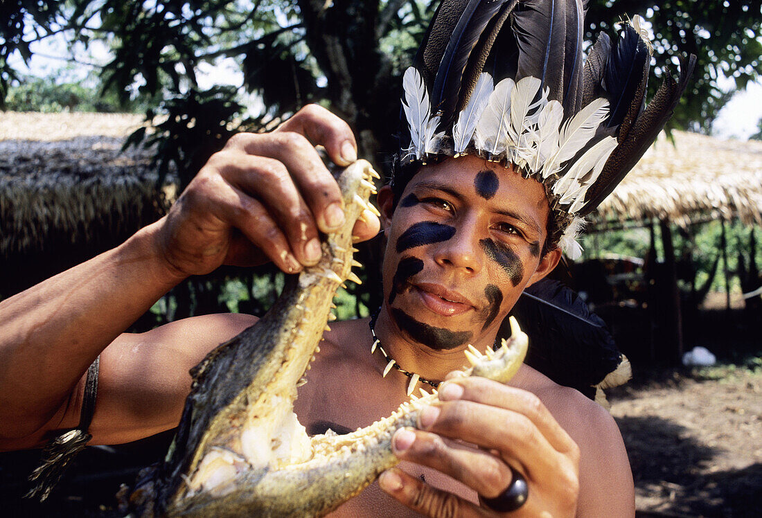 Sateré-Maué tribes man holds head of a caiman before serving to his family in the Amazon river region village.
