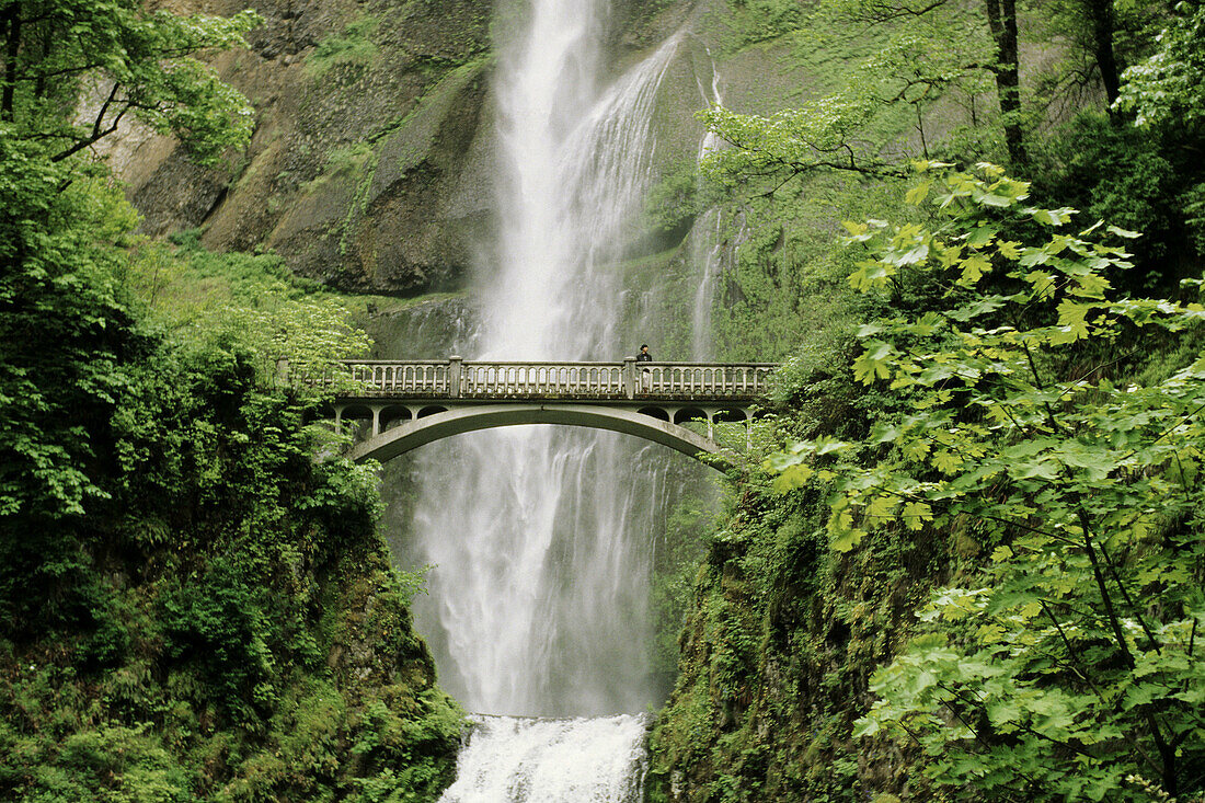 Multnomah Falls and Larch Mountain. Oregon, USA