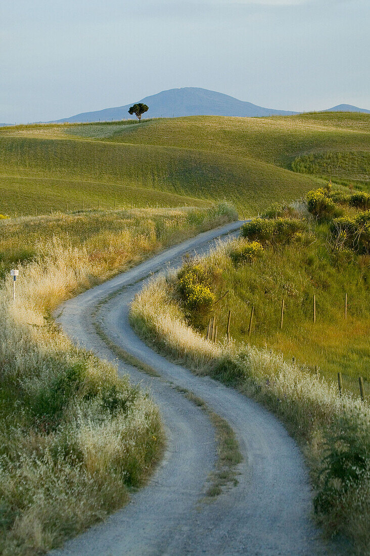 Val dOrcia. Tuscany, Italy