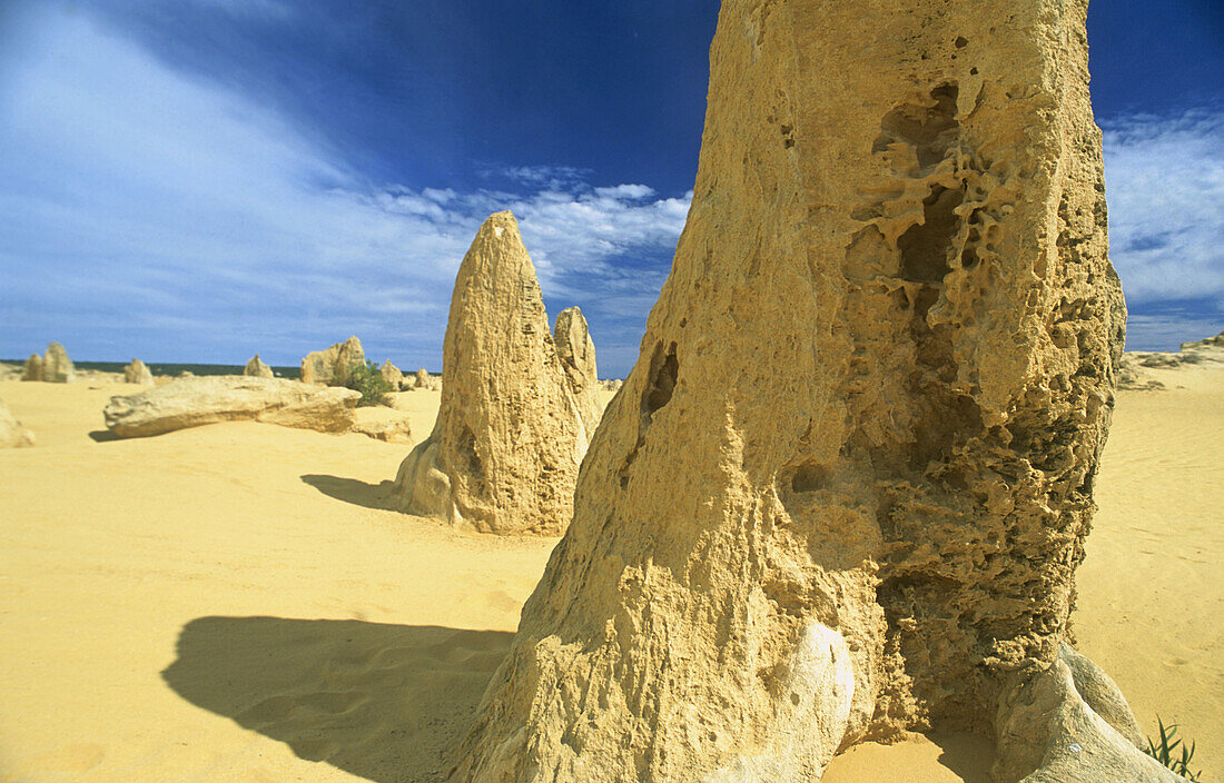 Detail of heavily eroded yellow limestone pinnacle, at The Pinnacles, Nambung National Park, Western Australia