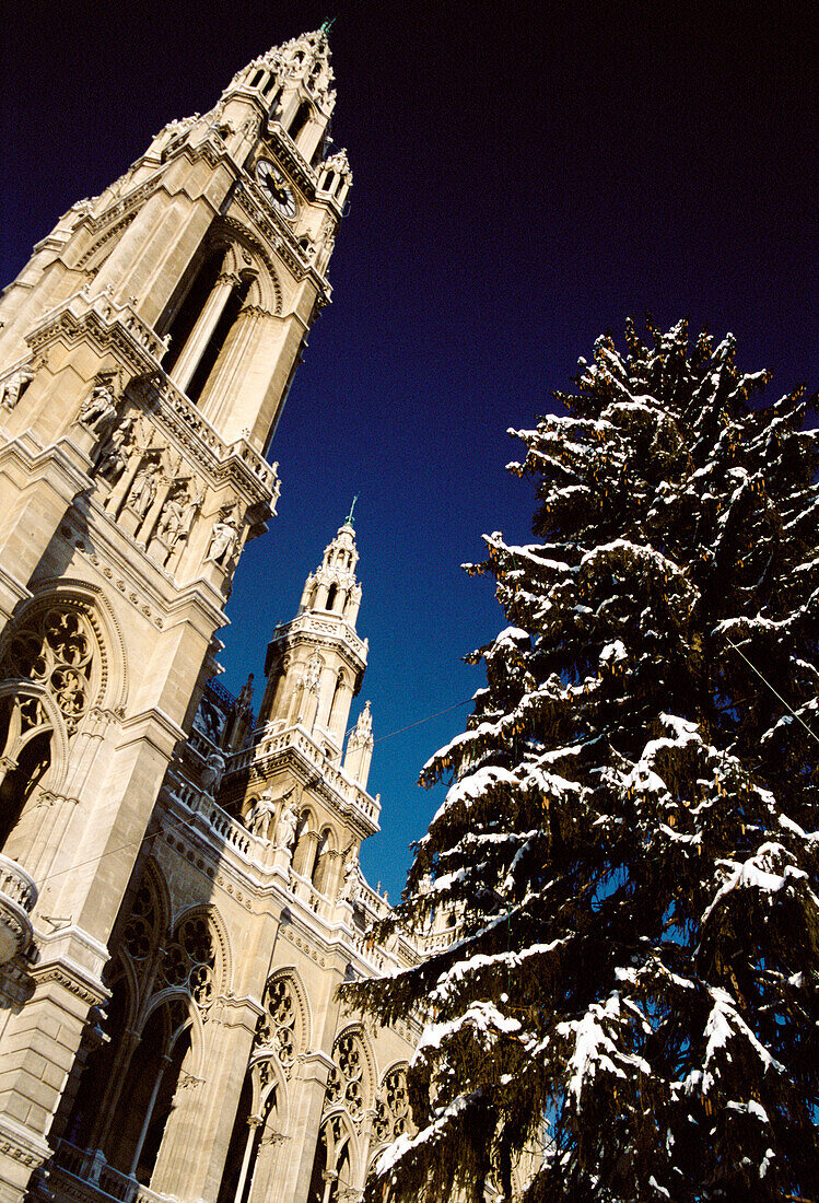 Snowfall on the City Hall (Rathaus) on the Ringstrasse in the First District, Vienna, Austria 