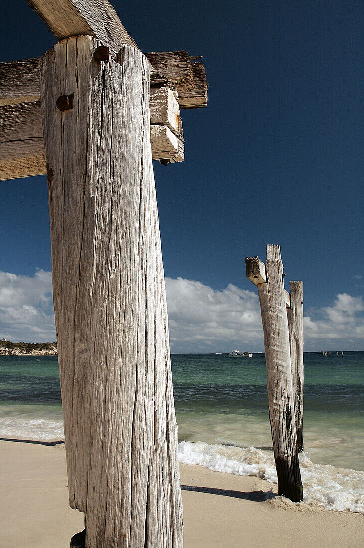 Weathered wooden pylons on the beach at Hamelin Bay, Western Australia. Australia