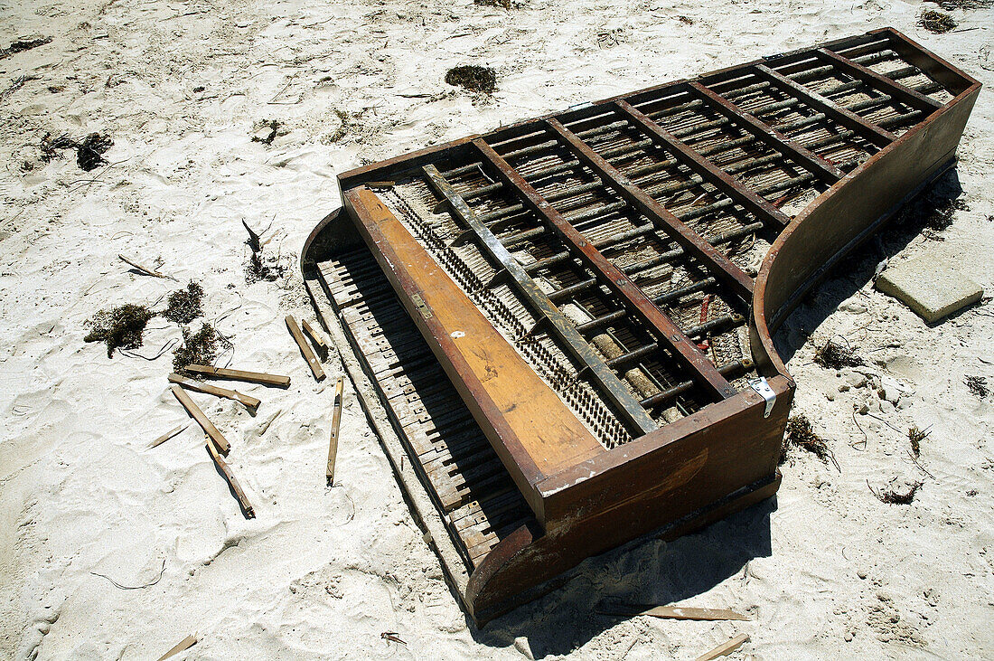 Destroyed grand piano washed up on the beach amongst other flotsam. Art installation by Annea Lockwood, Bathers Beach, Fremantle, Western Australia