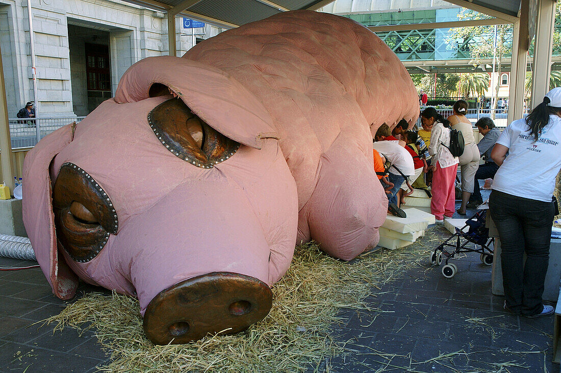 Kids crowding to view video inside enormous pig. Performance art installation in central Perth, Western Australia.