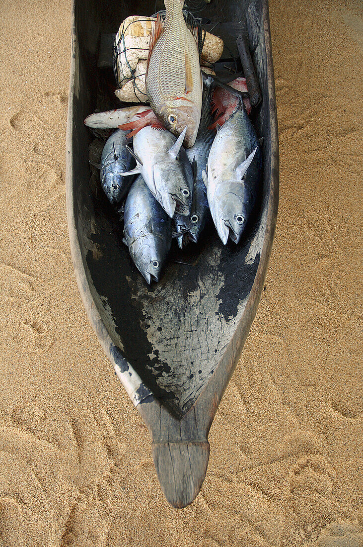 Bow of old dugout canoe (pirogue) filled … – License image – 70190803 ...