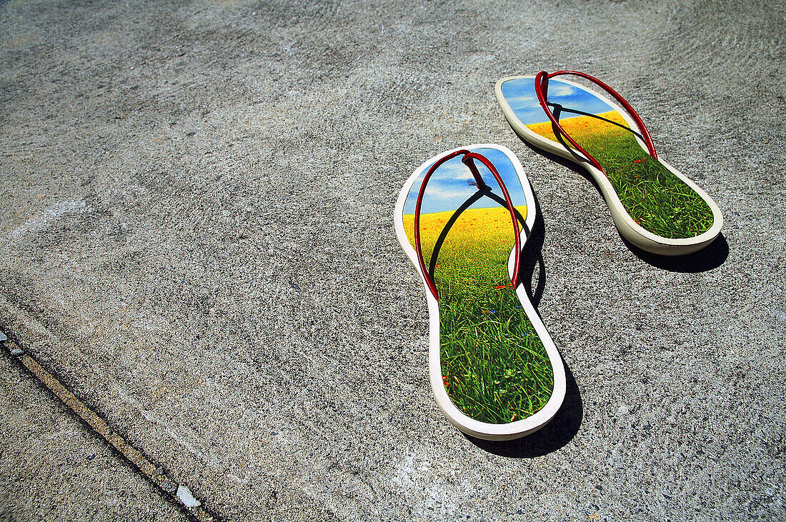 Ecological footprint: sandals depicting flowerfilled natural environment in highly urbanised concrete environment.