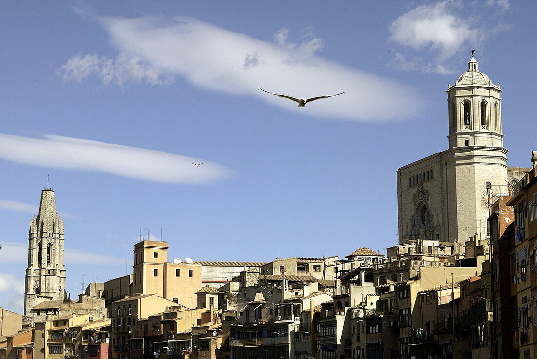 Sant Fèlix cathedral (left) and Girona cathedral. Girona. Spain.