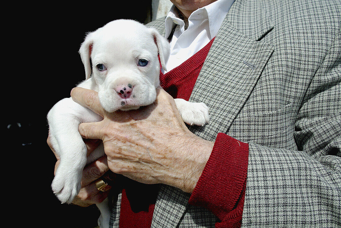 Old man holding puppy
