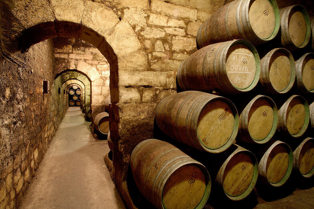 Herederos de Marques de Riscal winery. Elciego, Rioja alavesa. Alava, Euskadi, Spain