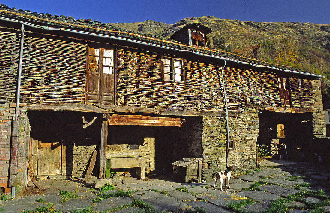 Typical rural houses. Tejedo de Sil, Alto Sil, León province, Castilla-León, Spain