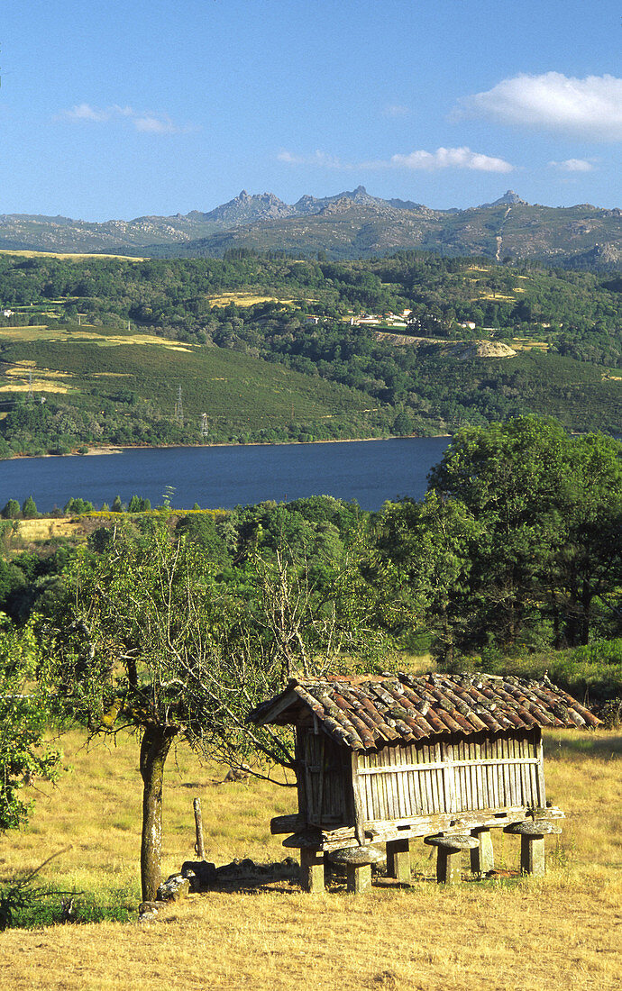 Horreo, wooden granary built on pillars typical in the north-west of Spain. Baixa Limia-Serra do Xurés Natural Park. Orense province, Galicia, Spain