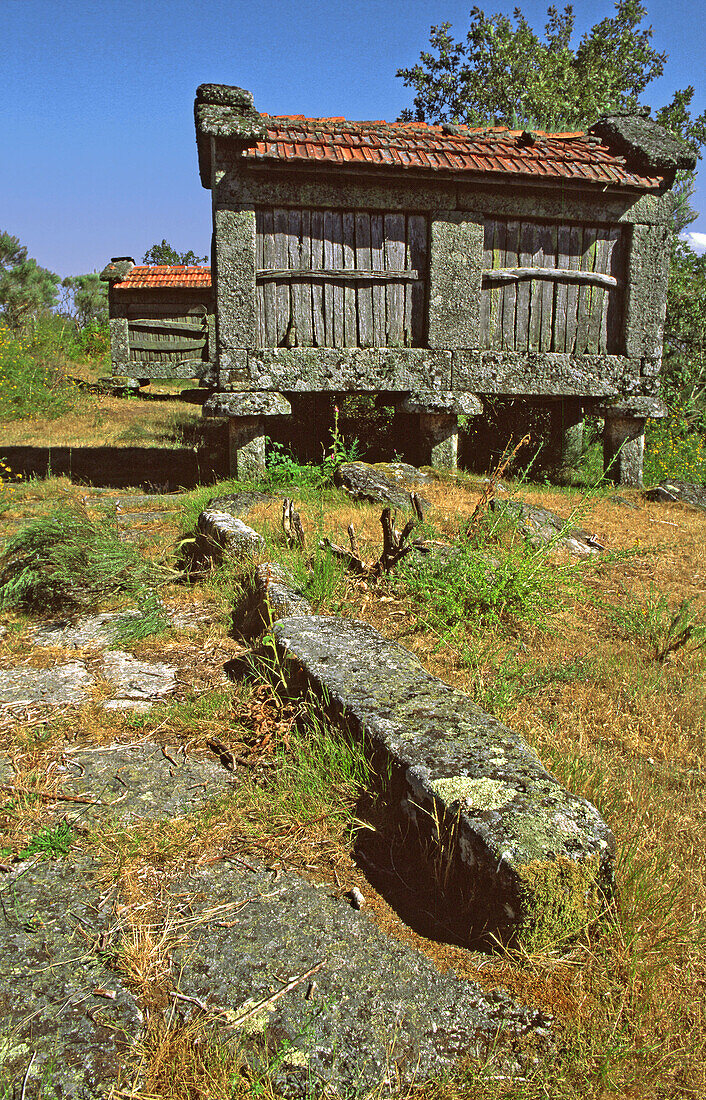 Hórreos. Queguas, Baixa Limia-Serra do Xurés Natural Park. Orense province, Galicia, Spain