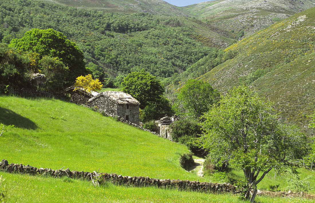 Thatched roof house in Queguas, Baixa Limia-Serra do Xurés Natural Park. Orense province, Galicia, Spain