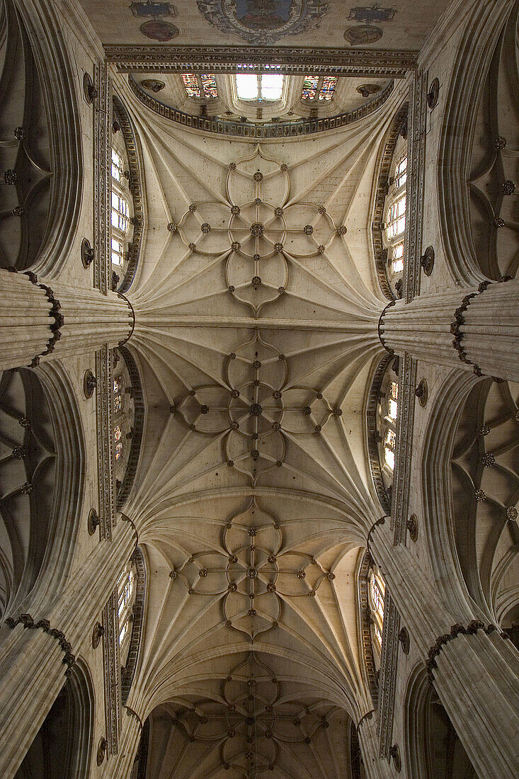 Central nave vaults of Gothic cathedral, Salamanca. Castilla-León, Spain