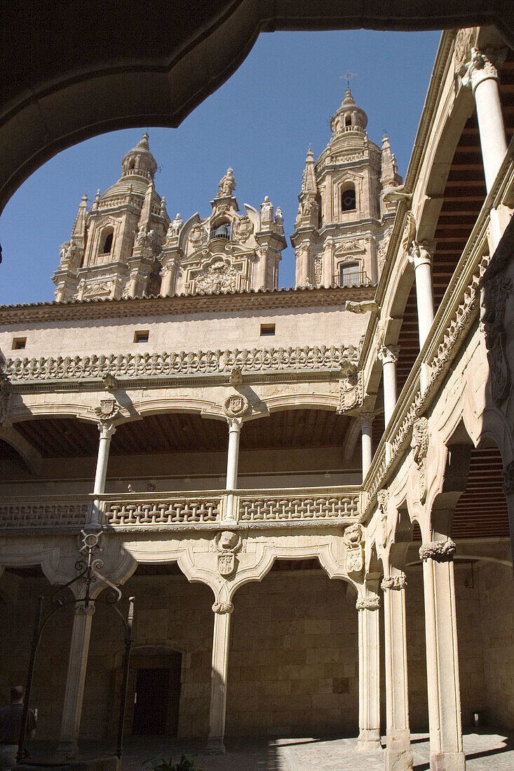Cloister of Casa de las Conchas (15th century), Salamanca. Castilla-León, Spain