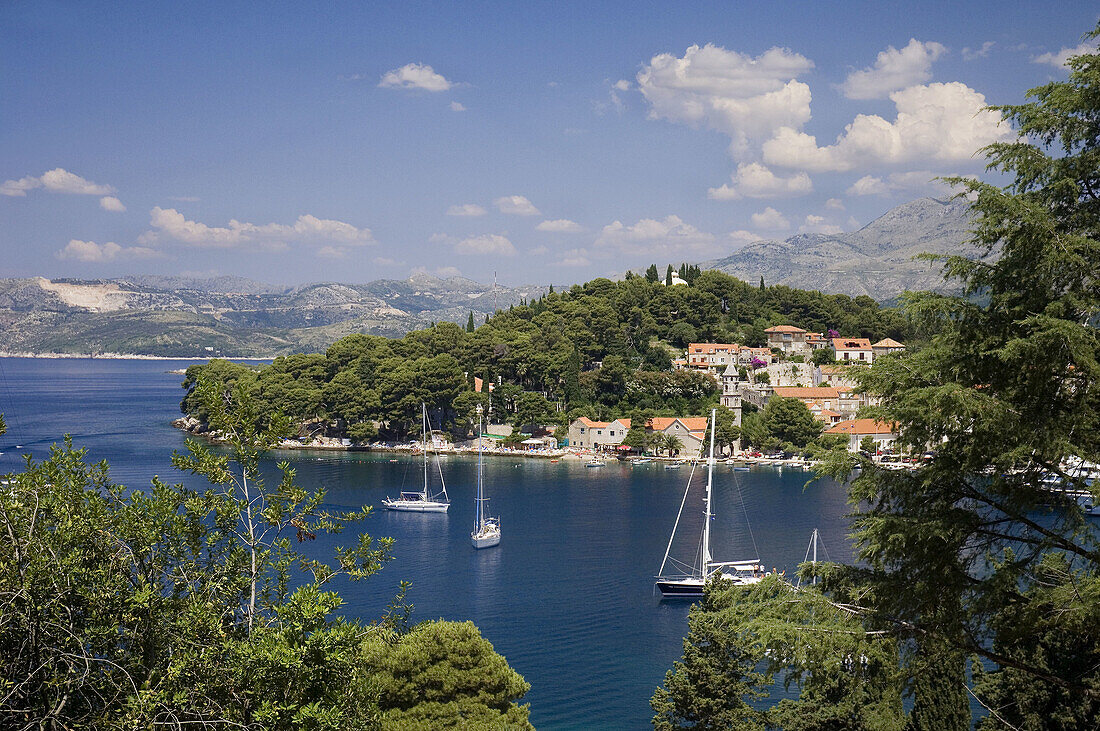 Cavtat, Dalmatian Coast, Croatia