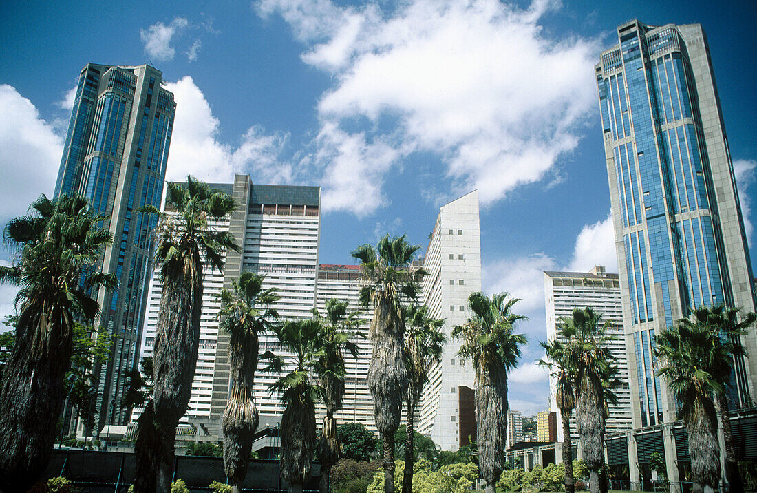 Parque Central, Caracas. Venezuela (June 4th, 2002)